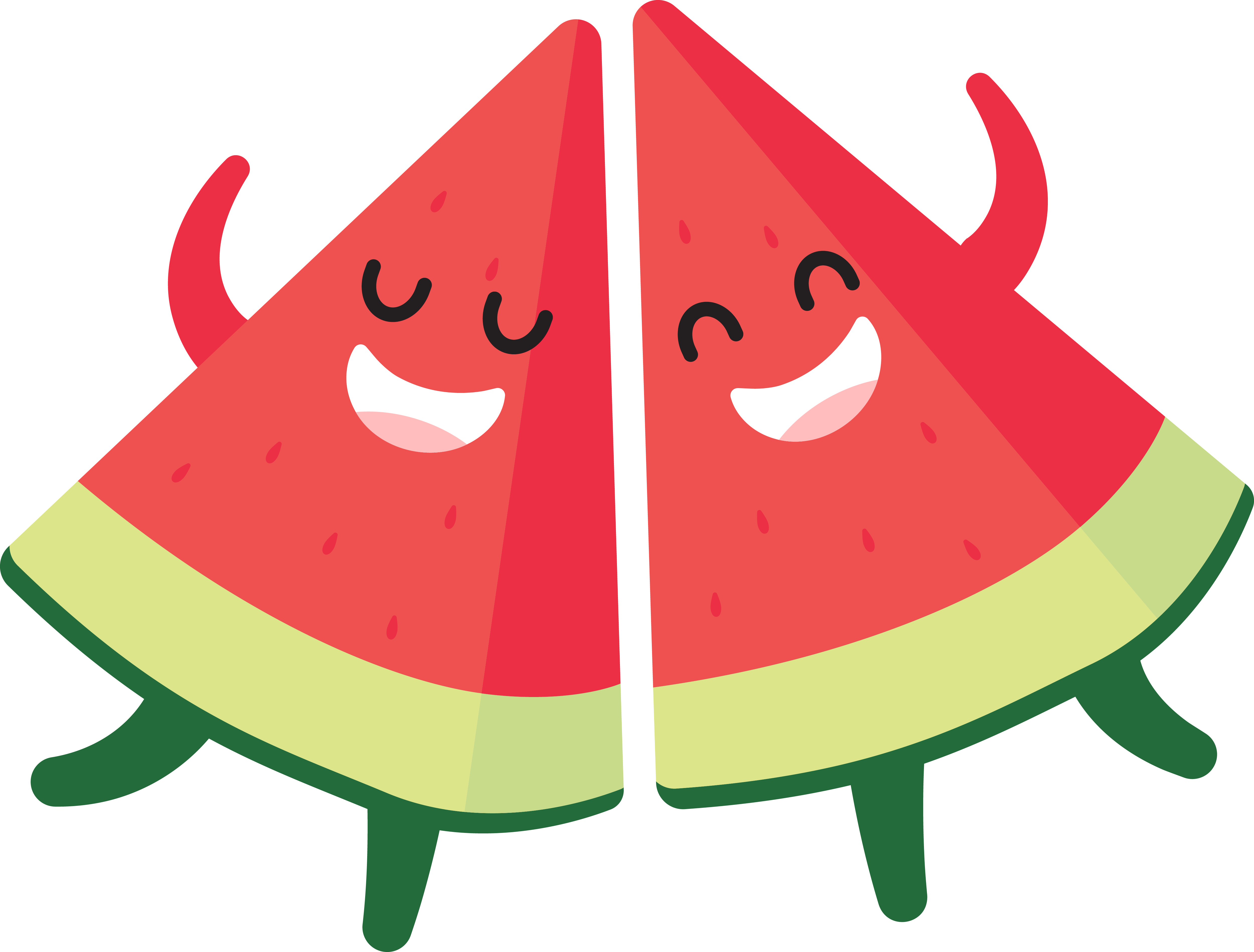 Watermelon_6359