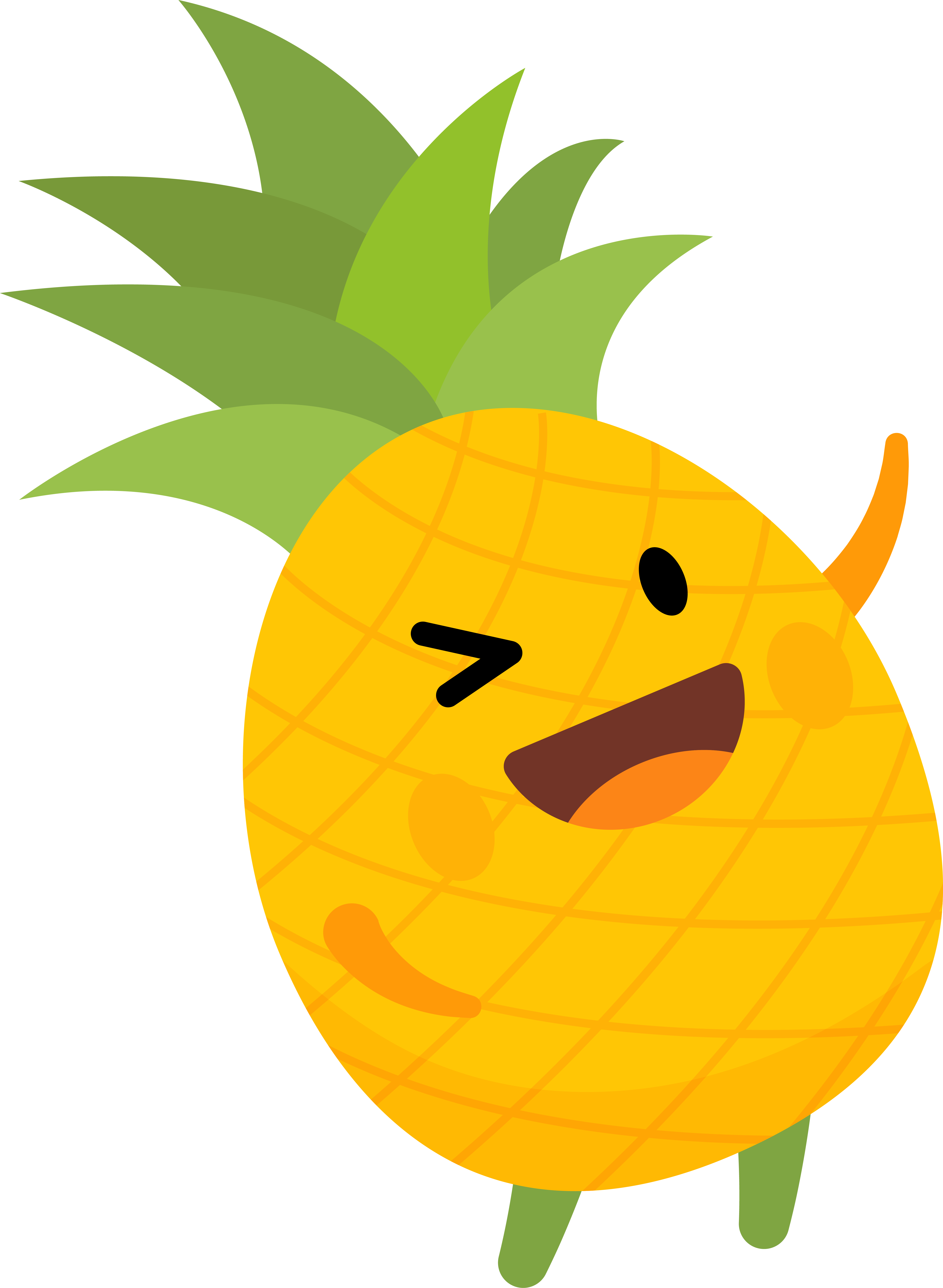 Pineapple_7124