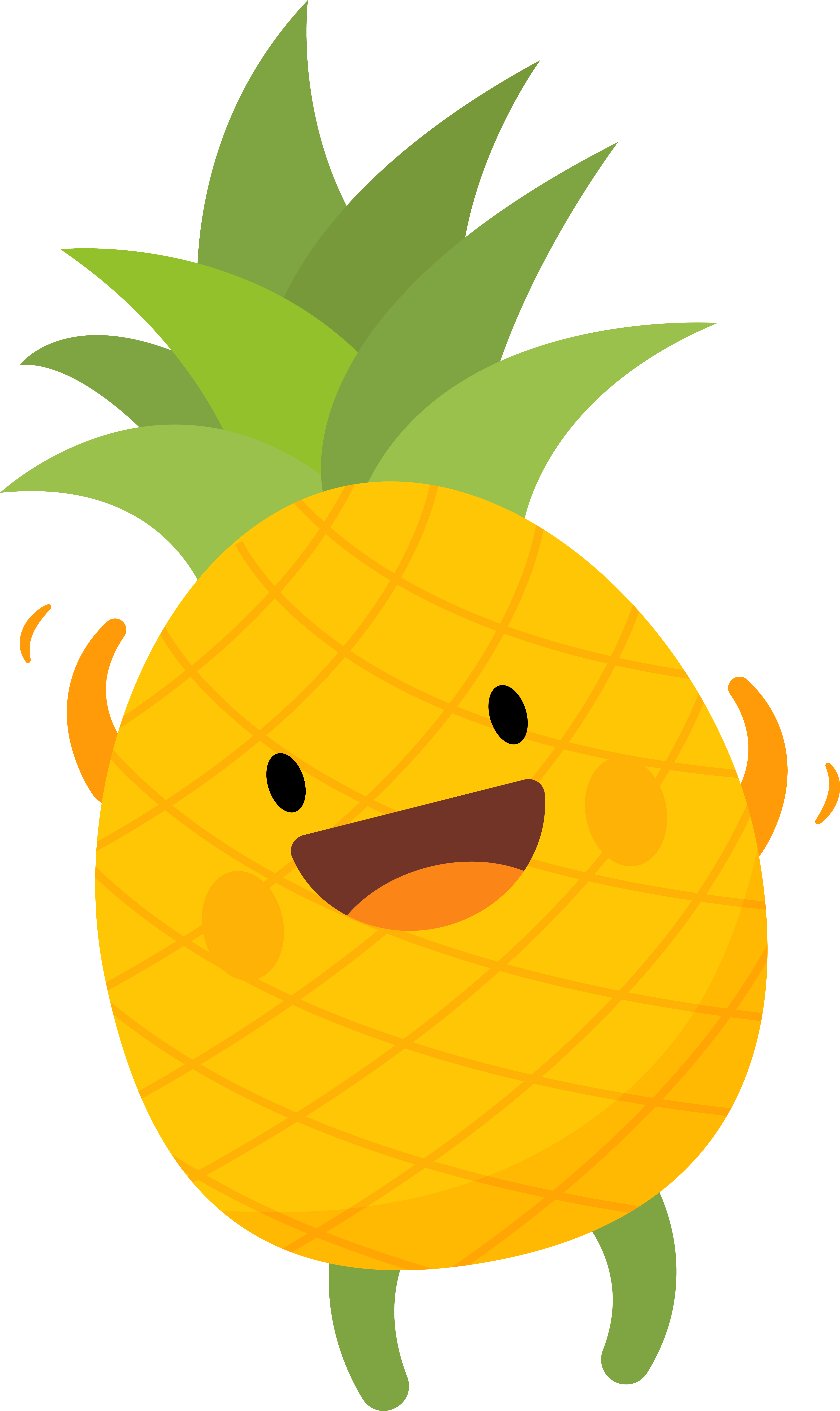 Pineapple_6497