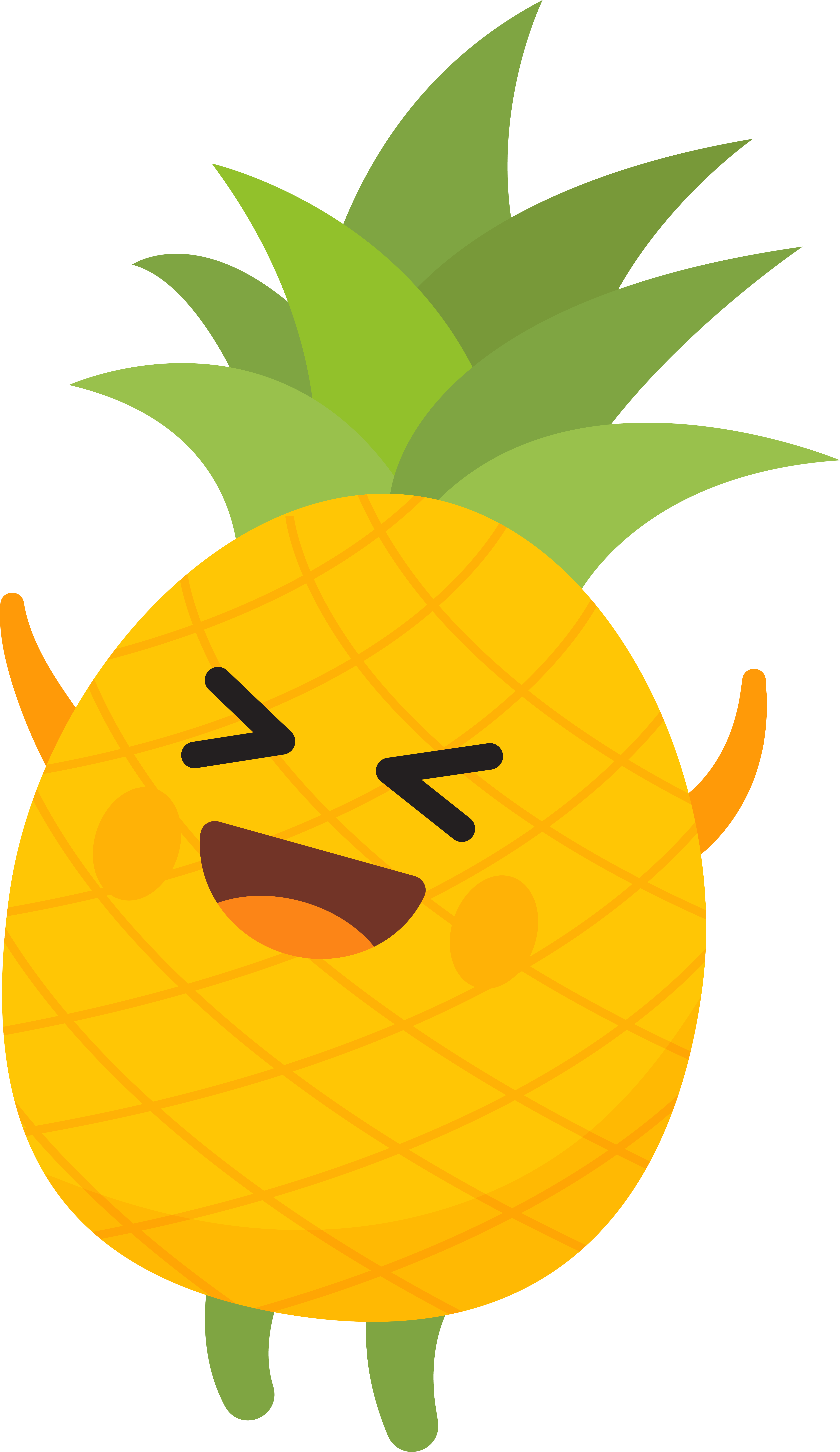 Pineapple_8567