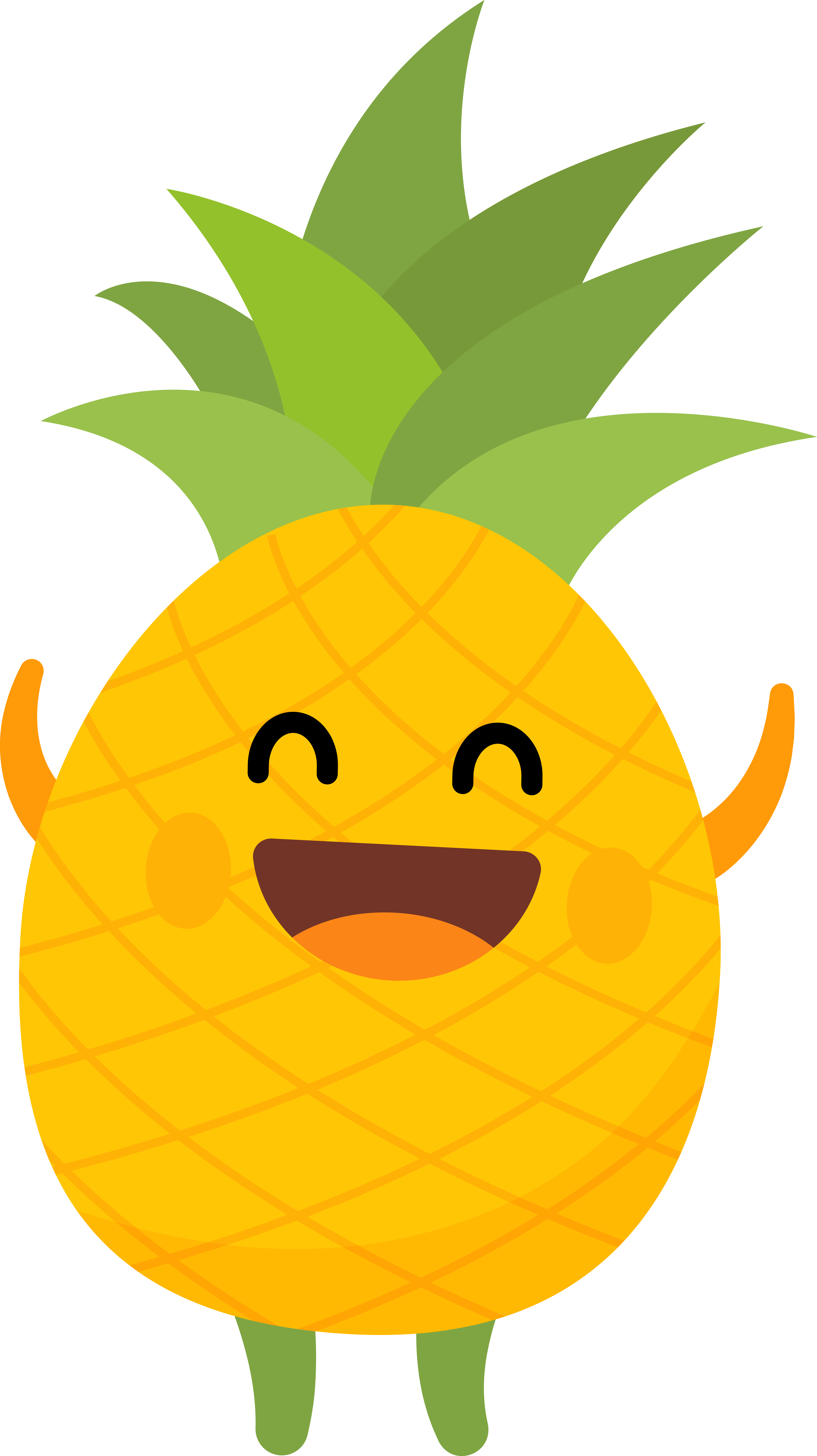 Pineapple_6893
